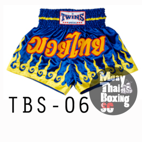 [OUT OF STOCK] Twins Muay Thai Shorts - Image 3