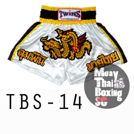 [OUT OF STOCK] Twins Muay Thai Shorts - Image 8