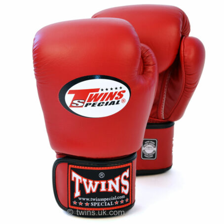 Twins Special Kids Boxing gloves