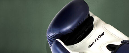 Twins Special "Air Flow" Boxing Gloves - Image 2