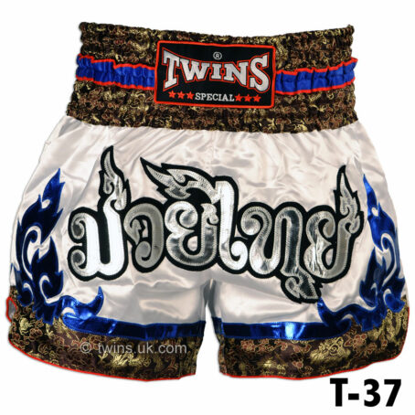 [OUT OF STOCK] Twins Special Muay Thai Shorts - Premium designs - Image 13