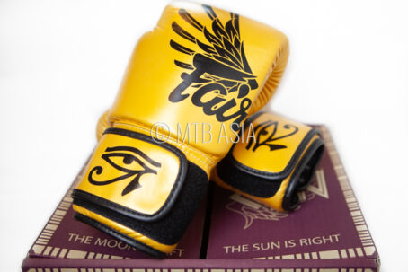 Fairtex Limited Edition "Falcon" Boxing Gloves - Image 2