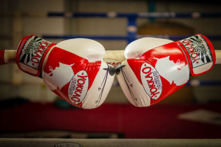 Yokkao "Samurai Ronin " Boxing Gloves - Image 4