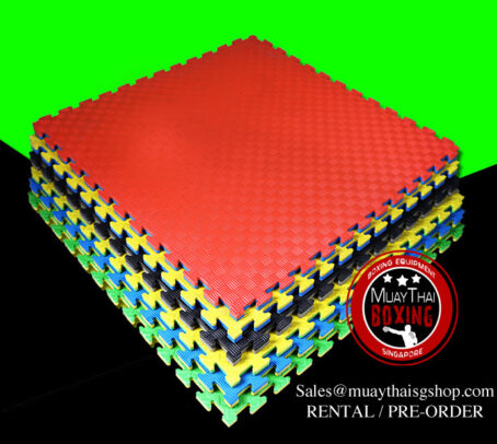 Gym Mat / Sports Mat / Workout Mat / Jigsaw mat for Martial Arts - Image 7