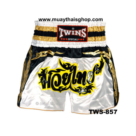 [OUT OF STOCK] Twins Special Muay Thai Shorts - Premium designs - Image 5