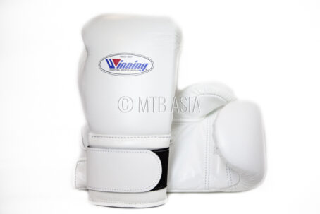 WINNING Boxing Gloves (Authentic, Made in Japan)