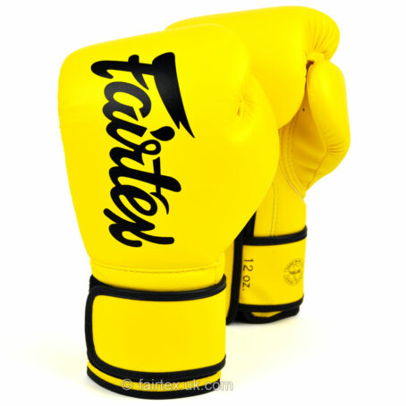 Fairtex Muay Thai Boxing Gloves (Micro Fiber series) - Image 3