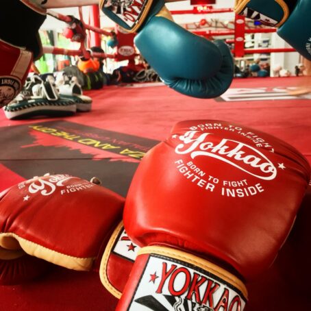 Yokkao "Vintage" Boxing Gloves - Image 6