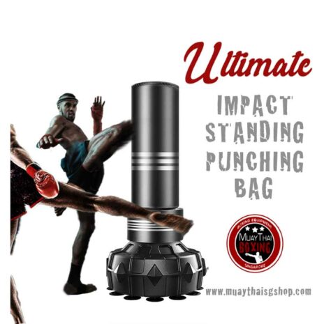 Ultimate Standing Punching Bag (for HDB)