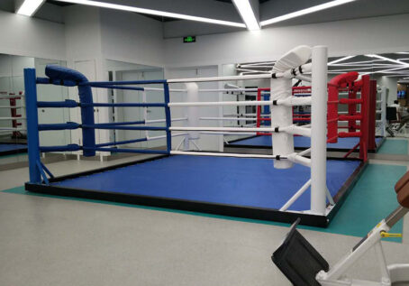 Custom Floor Boxing Ring (No drilling required) - Image 2