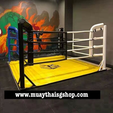 Custom Floor Boxing Ring (No drilling required) - Image 3