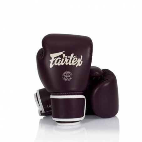 Fairtex BGV16 Boxing Gloves